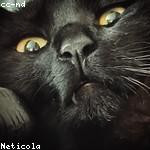 Edna Pollich Profile Picture