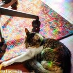 Carmella Gutmann Profile Picture