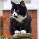 Joanny Heller Profile Picture