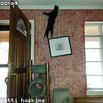 Delbert Hessel Profile Picture