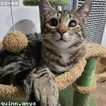 Lila Homenick Profile Picture