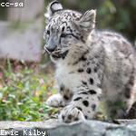 Kade Kessler Profile Picture