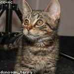 Jettie Carter Profile Picture