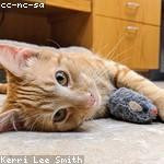 Charlene Pacocha Profile Picture